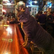 20110.jpg?1386022287