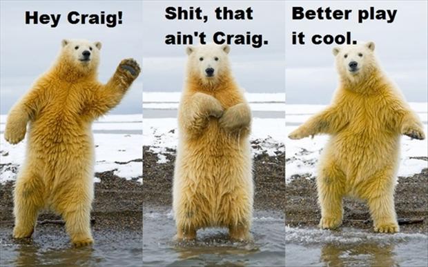 8-funny-polar-bear.jpg