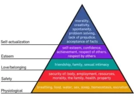 450px-Maslow's_Hierarchy_of_Needs.svg.webp 450px-Maslow's_Hierarchy_of_Needs.svg.webp