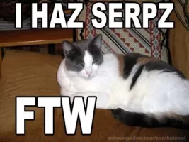 lolcat-serpz.webp lolcat-serpz.webp
