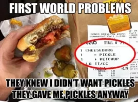 First+World+Problems.+damn+pickles_d25556_3759737.webp