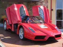 enzo.webp