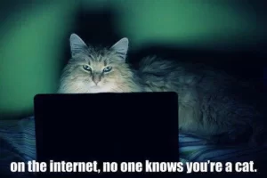 383559_415862738470257_950197404_n.webp
