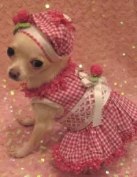 CherriesHarnessDogDress_small1.webp
