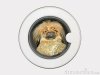 dog-in-washing-machine-thumb1711152.jpg