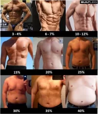 body-fat-percentage-men.webp