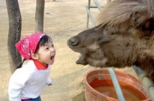 child-yelling-donkey-a$$.webp