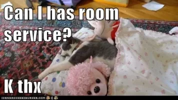 fec1b8c4-d79e-4dab-8936-1b22c3961f08.webp