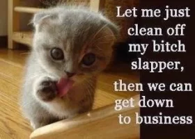 4aac6e3f9545c294049d00b3bcd2e961.webp