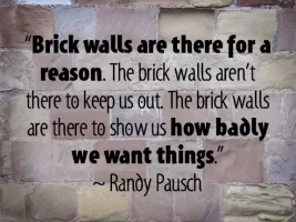 brick-walls.webp brick-walls.webp