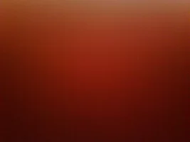 3705406449_b67d570f35_b.webp