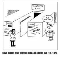 final-cartoon4.webp