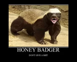 5056acb4af9d3cf294e0ca451a3dd29a.webp