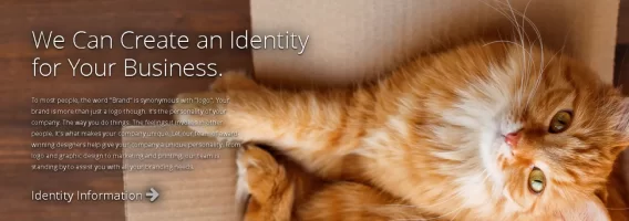 Cat.webp Cat.webp