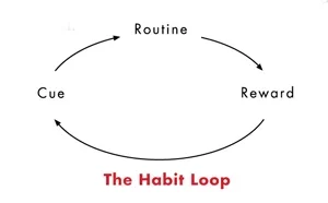 the-habit-loop.webp