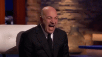 kevin oleary laughing.gif