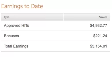 earnings to date.webp