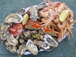 plateau fruits de mer.webp