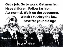 are you free.webp
