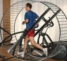 gerbil_wheel1.webp