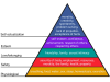 Maslow's_Hierarchy_of_Needs.svg.png