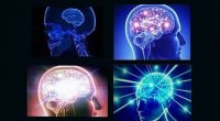 Brain-Meme.jpg