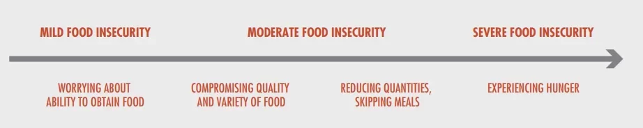 Food-Insecurity-Scale.png