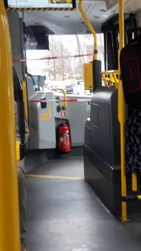 31007 31007