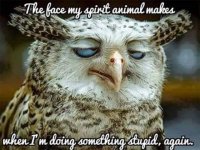Pagan Owl.jpg