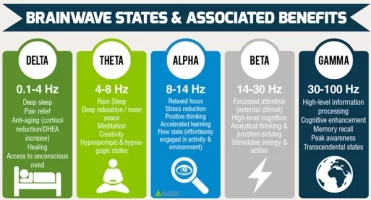 Brainwave-States (1).jpg