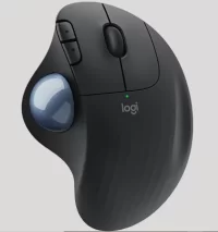 ERGO_575.webp