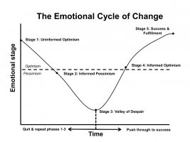 Emotional-cycle.jpeg