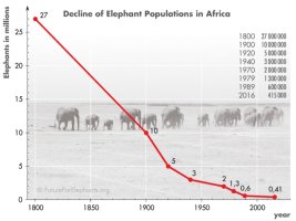 Decline_of_Elephant_Populations_in_Africa.jpg