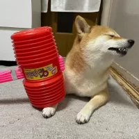 1639594166930.png 1639594166930.png