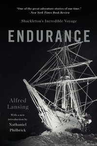 endurance.jpg