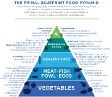 PB-Food-Pyramid-2016update.jpeg