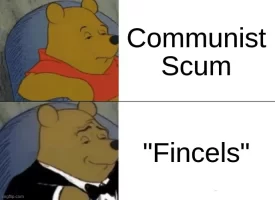 fincels.jpg