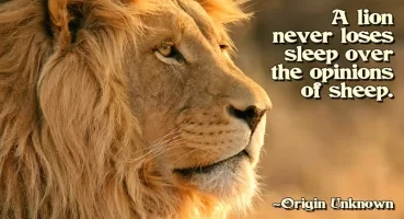 lion-quote.webp