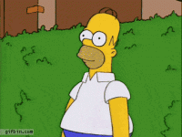 1319738930_homer_simpson_hides_in_hedge.gif