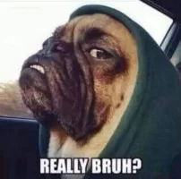 ReallyBruh.webp