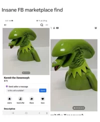 492216915_1271431817873721_5325771060557007861_n.webp