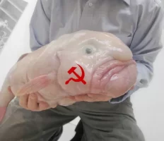 1746938694059.webp