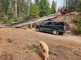 1763402938546.webp 1763402938546.webp