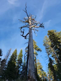 1763403239366.webp 1763403239366.webp