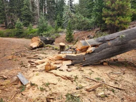 1763403698040.webp 1763403698040.webp