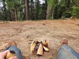 1763404985381.webp 1763404985381.webp