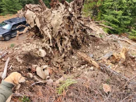 1763406467486.webp 1763406467486.webp