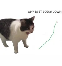 1770224257029.webp 1770224257029.webp