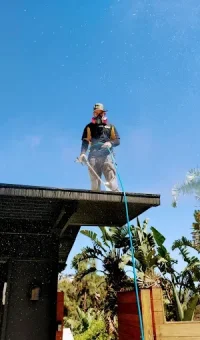 1770873488562.webp 1770873488562.webp