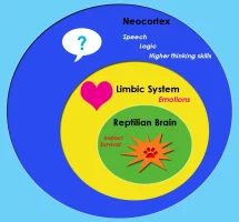 Triune_brain.webp Triune_brain.webp